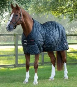 Tuscan Stable Rug 200g 28 Tuscan Stable Rug 200g -Premier Equine tuscan stable rug 200g 207250blk 837725