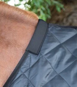 Tuscan Stable Rug 200g 29 Tuscan Stable Rug 200g -Premier Equine tuscan stable rug 200g 207250blk 996266