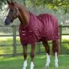 Tuscan Stable Rug 200g -Premier Equine tuscan stable rug 200g 207250brg 124578