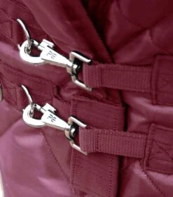 Tuscan Stable Rug 200g 24 Tuscan Stable Rug 200g -Premier Equine tuscan stable rug 200g 207250brg 340083