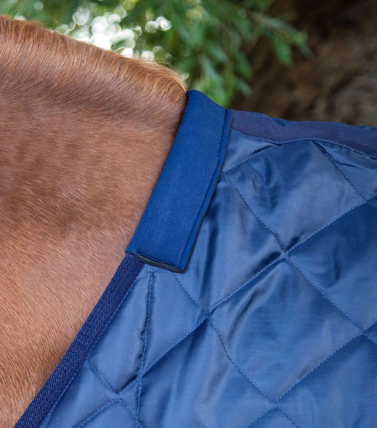 Tuscan Stable Rug 200g 22 Tuscan Stable Rug 200g - Image 20