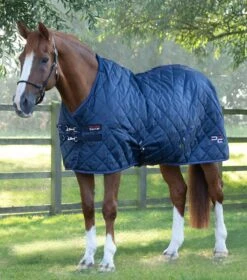 Tuscan Stable Rug 200g 40 Tuscan Stable Rug 200g -Premier Equine tuscan stable rug 200g 207250n 506694