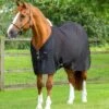 Ventoso Mesh Cooler 2 Ventoso Mesh Cooler -Premier Equine ventoso mesh cooler 202150blk 853852