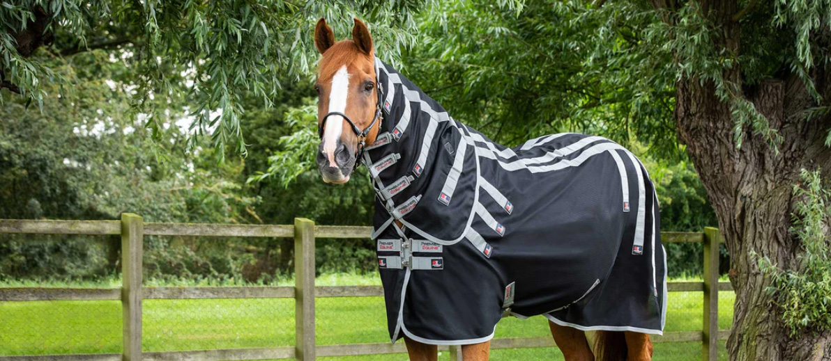 Premier Equine -Premier Equine fgj