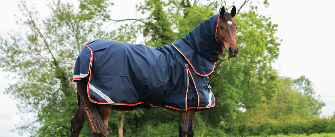 Premier Equine -Premier Equine ghgh